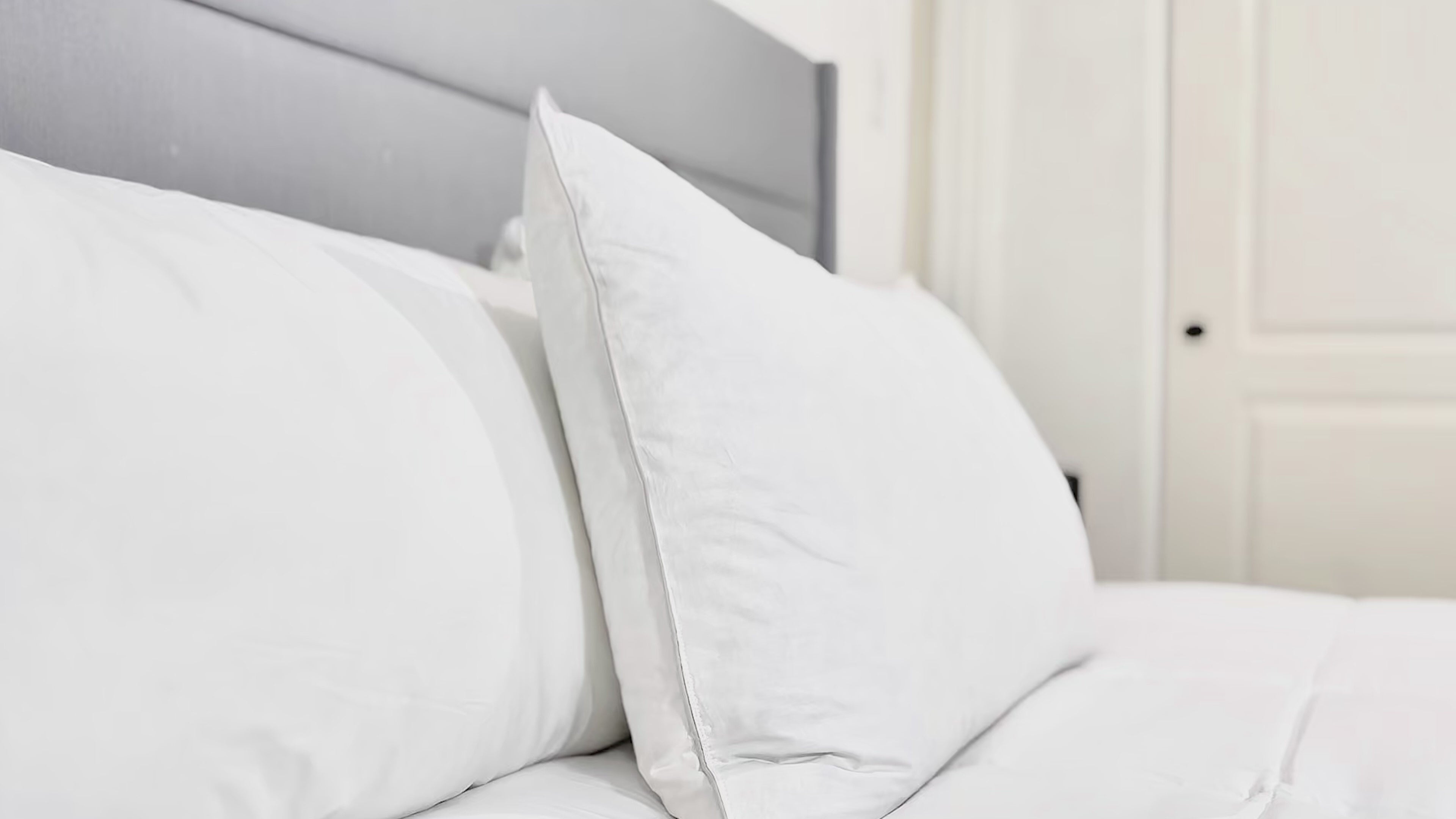 Down Dreams Classic Firm Pillow, Formerly Classic Too