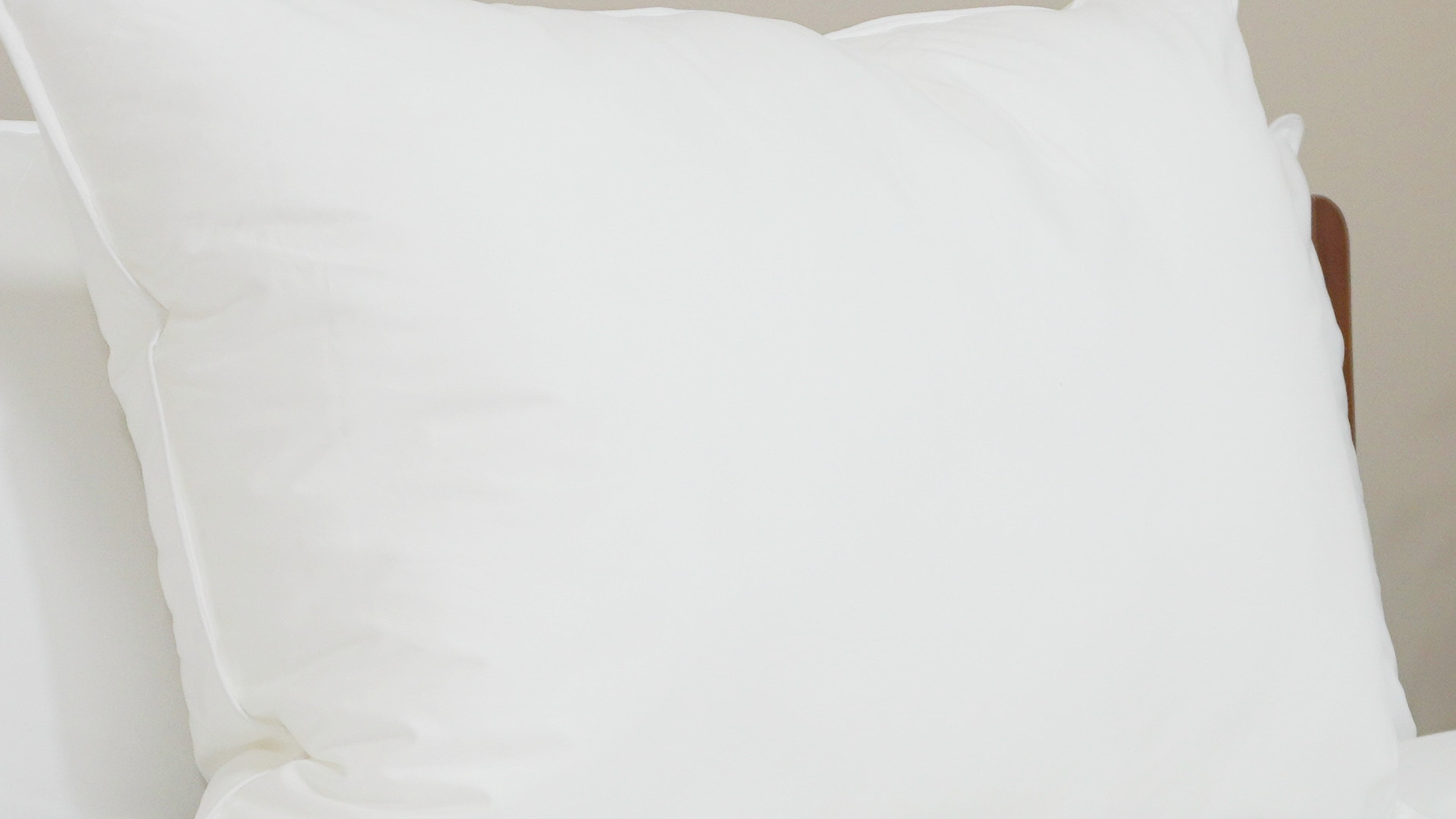 Pillowtex Premium Polyester Pillow | Firm