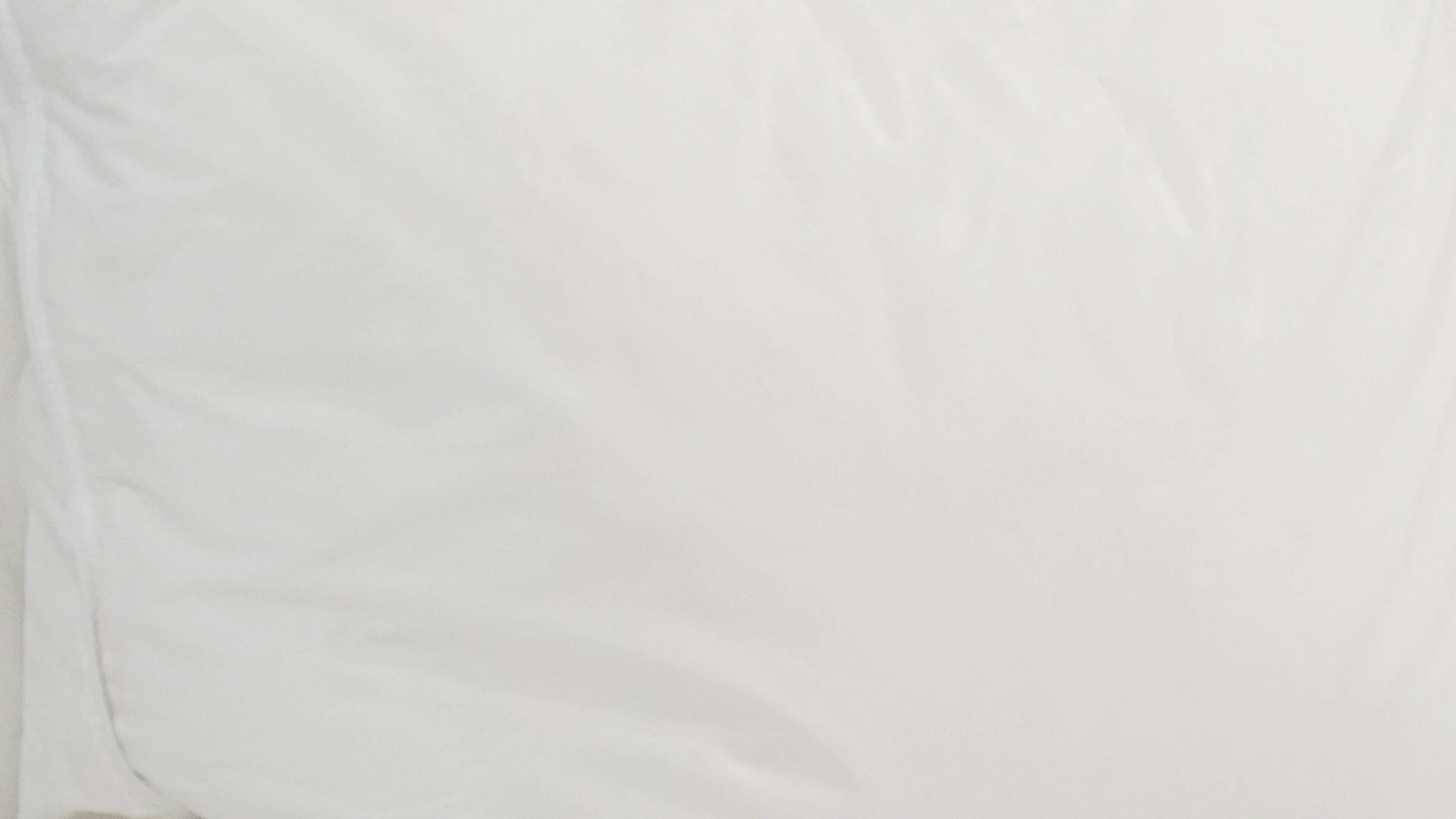 Pillowtex Triple Core Lyocell Pillow | Medium Support