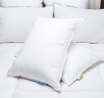 Blue Label Firm/Green Label Soft Combo Pack | Featured at Many Choice® Hotels