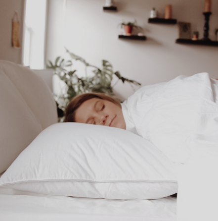 Down Dreams Classic Firm Pillow, Formerly Classic Too