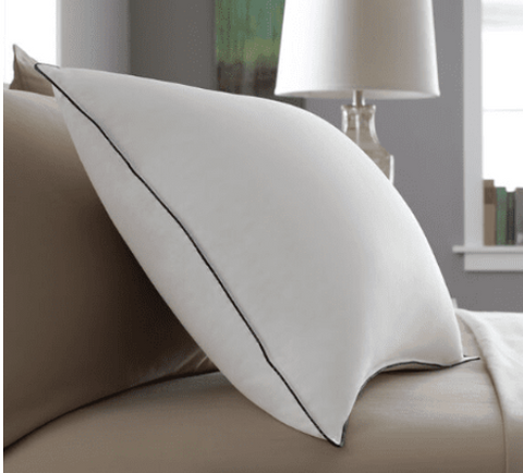 Pacific Coast® Slumber Core® Pillow | All Down Pillow